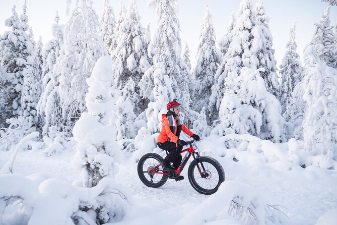 Private Electric Fat Bike Winter Tour in Rovaniemi - Meeting and Pickup Details