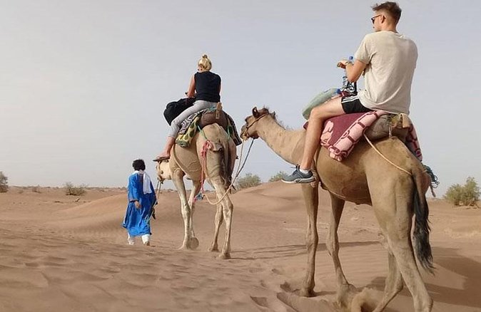 Private - Evening Desert Safari With Camel Ride, BBQ Dinner and Belly Dance - Camel Ride Adventure