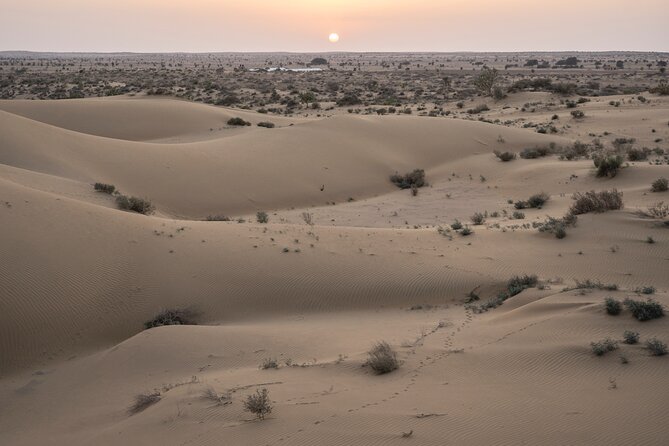 Private Family Tour in Jaisalmer - Thar Desert Exploration