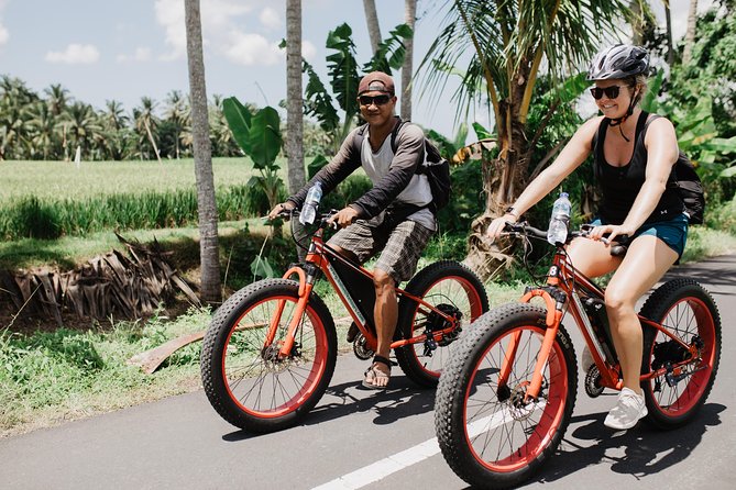 Private Fat Tire E-Bike Tour in Ubud - Fat Tire and Electric Motor Features