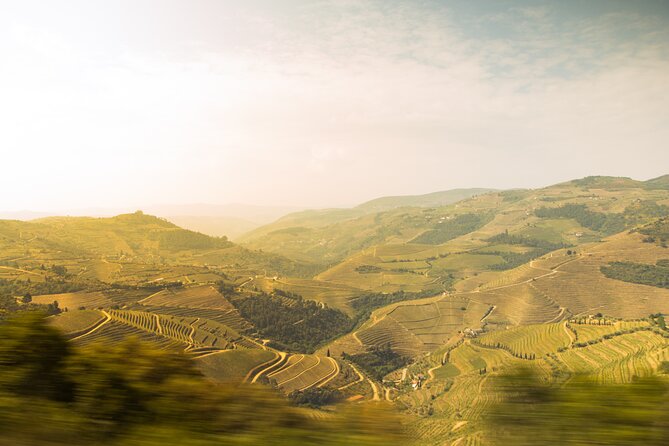 Private Full-Day Douro Valley Wine and Hike Tour From Porto - Wine Tasting Experience