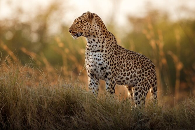 Private Full Day Kruger National Park Safari Tour From Hazyview - Admission and Confirmation Details