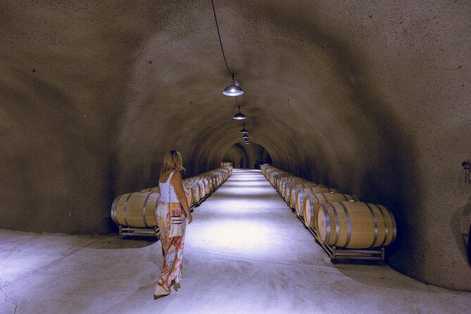 Private Full-Day Luxury Transportation From Paso Robles - Overview and Inclusions