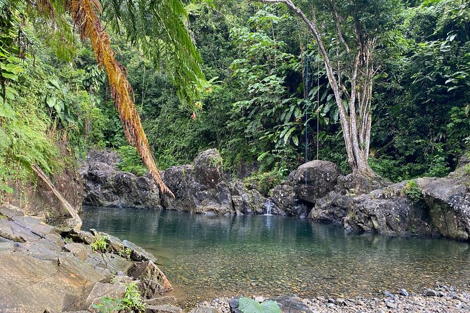 Private Full-Day Secret Hiking Tour to El Yunque Waterfalls - Reviews From Previous Travelers