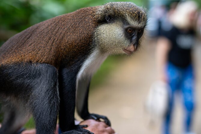 Private Full-Day Tour in Grenada With Pickup - Cancellation Policy and Refunds