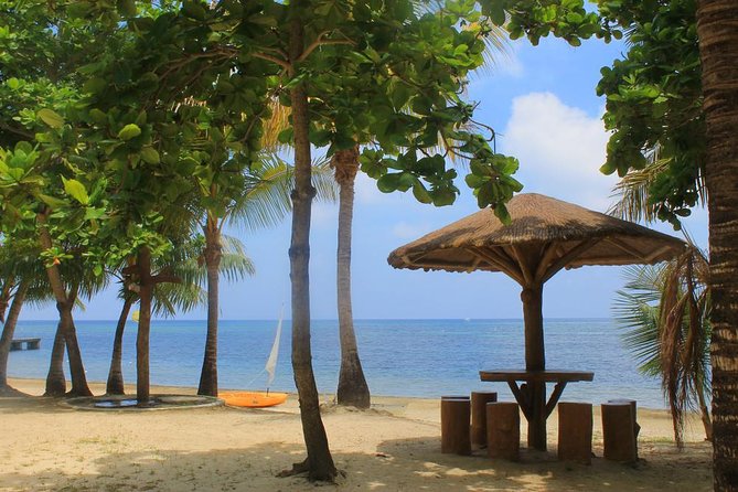 Private Guided Gumbalimba Park Tour From Roatán - Tour Inclusions