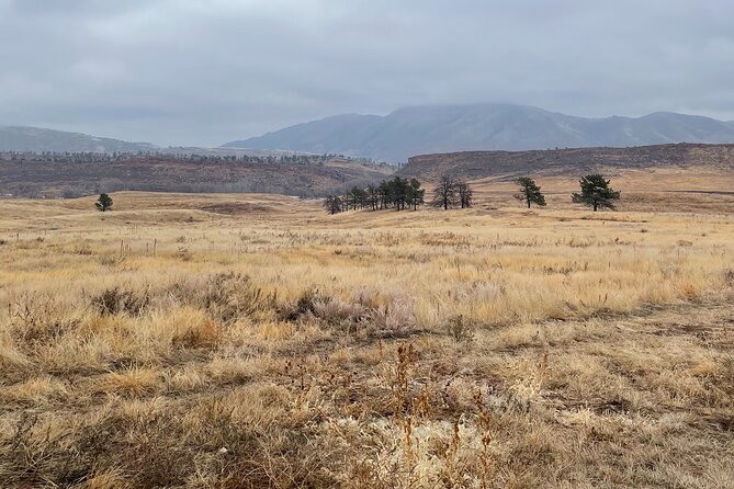 Private Guided Hike and Scenic Drive Near Fort Collins - What to Expect on the Tour