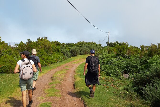 Private Guided Walk Levada Brasileiro - Levada Do Moinho - Tour Details