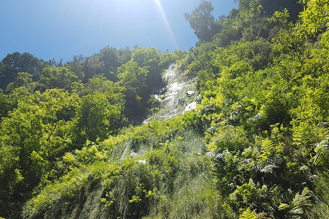 Private Guided Walk Levada Do Rei - Common Questions