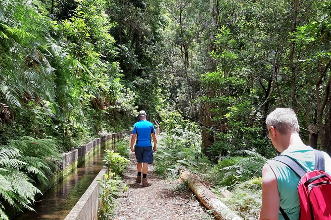 Private Guided Walk Levada Faja Dos Rodrigues Half-Day - Tour Information