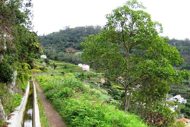 Private Guided Walk Levada Maroços Machico - Reservation Details