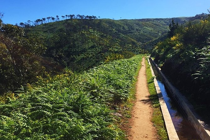Private Guided Walk Levada Pedregal – Ponta Do Pargo - Itinerary Overview