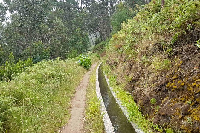 Private Guided Walk Levada Ponta Do Pargo - Expectations and Requirements