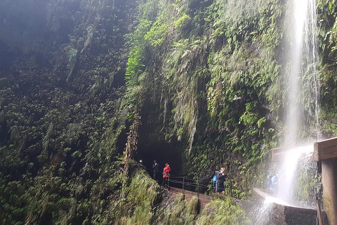 Private Guided Walk Levada Ribeira Da Janela - Tour Information
