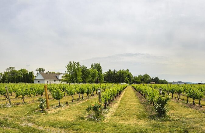 Private Half-Day Custom Wine Tasting Tour of Niagara-on-the-Lake - Tour Itinerary