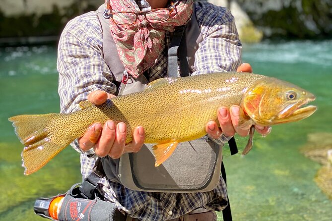 Private Half-day Fly Fishing - Inclusions