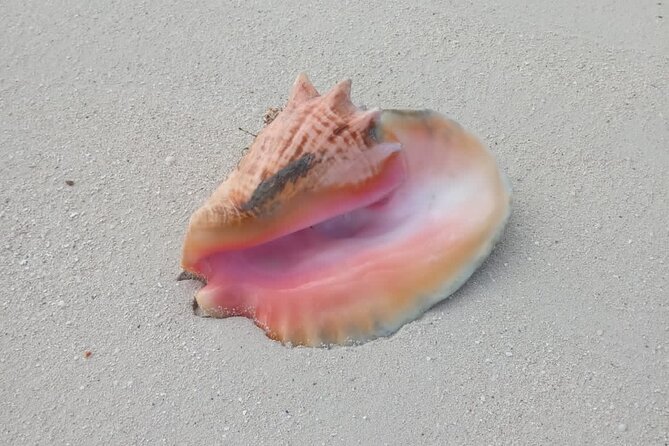 Private Half-Day Island Mirage Tour From Providenciales - Pickup and Drop-off