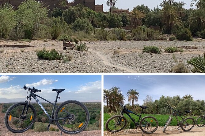 Private Half-Day Mountain Biking Excursion to Discover the Palm Grove of Skoura - Traveler Photos