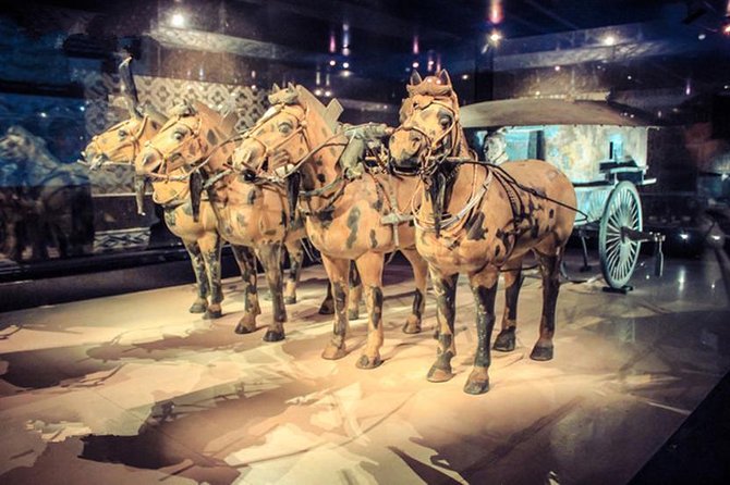 Private Half-Day Tour of Xian Terracotta Warriors - Tour Details and Logistics