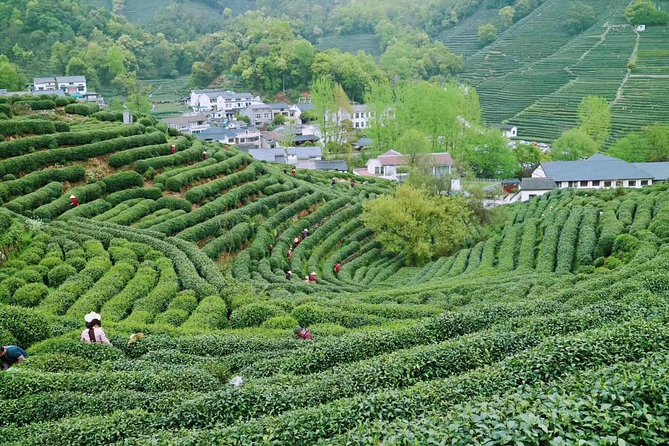 Private Hangzhou Day Trip From Shanghai by Bullet Train - Cancellation Policy