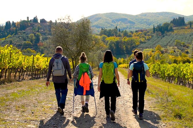 Private Hike and Wine Experiences in Chianti - The Ultimate Private Tour Experience