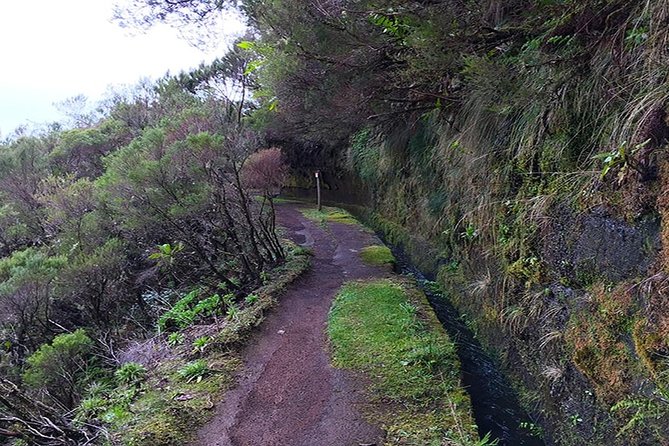 Private Hike From Bica Da Cana to Pináculo With Hotel Pick up - Highlights of Bica Da Cana to Pináculo Trail