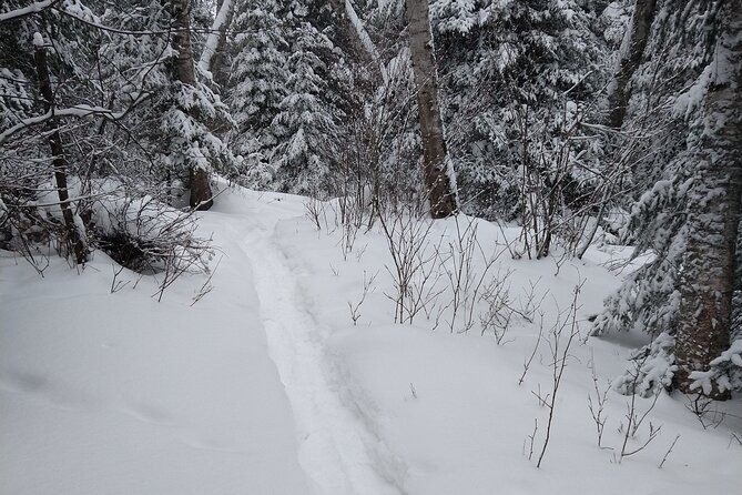 Private Horseshoe Valley Snowshoe/Crampons (Barrie/Moonstone) - Tour Overview and Requirements