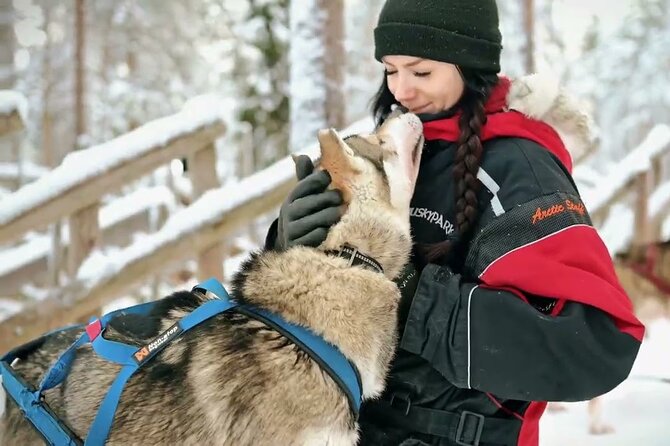 Private Husky Tour With Guide by VIP Car - Exclusive VIP Car Experience