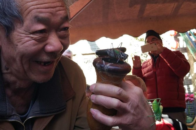 Private Hutong Culture Tour With Dumpling Cooking Class Plus Cricket Fighting Game - Traveler Reviews
