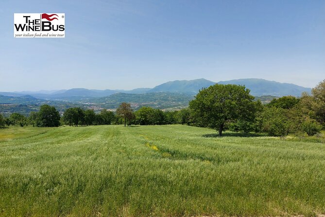 Private Irpinia Gourmet Tour From POSITANO, PRAIANO or AMALFI - Vineyard Visits