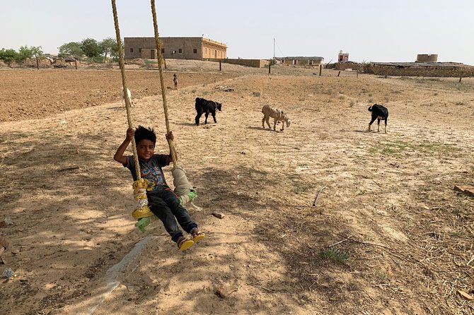 Private Jaisalmer Rural Farm Tour - Customer Reviews