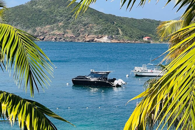 Private Luxury Catamaran Half Day Charter - Accessibility