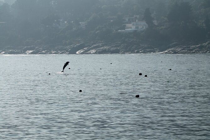 Private Nautical Tour to Isla De Los Penguinos - Meeting and Pickup