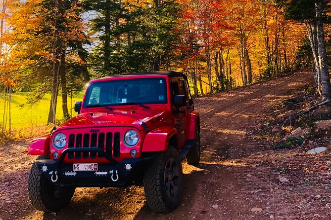 Private Off Road Jeep Tour in Margaree Valley - Vehicle Features