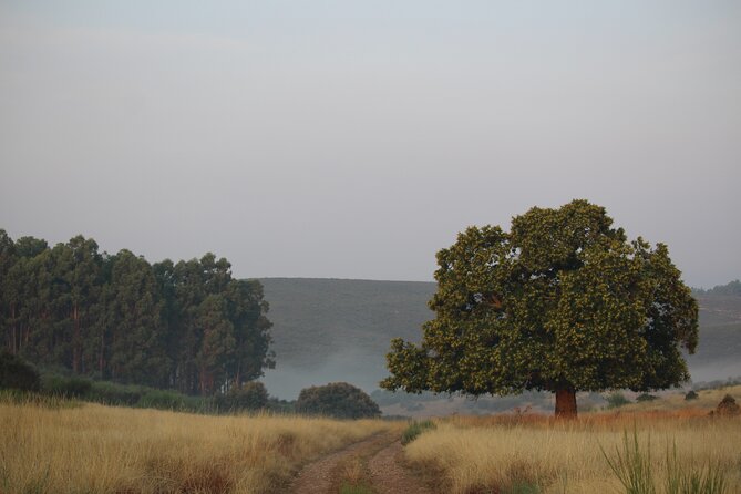 Private Off-Road Sightseeing Tour From Braganca  - Northern Portugal - Flora and Fauna Discovery