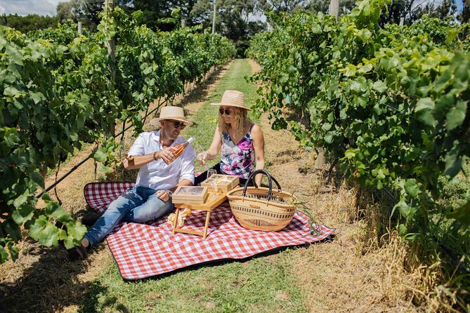 Private Picnic Lunch Experience in Orange With Wine - Whats Included
