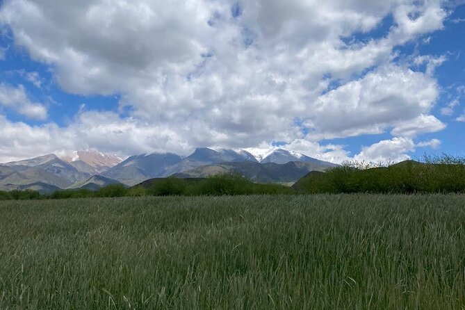 Private Ranch Adventure: Horseback Riding & BBQ Extravaganza - Ranch Location and Pickup