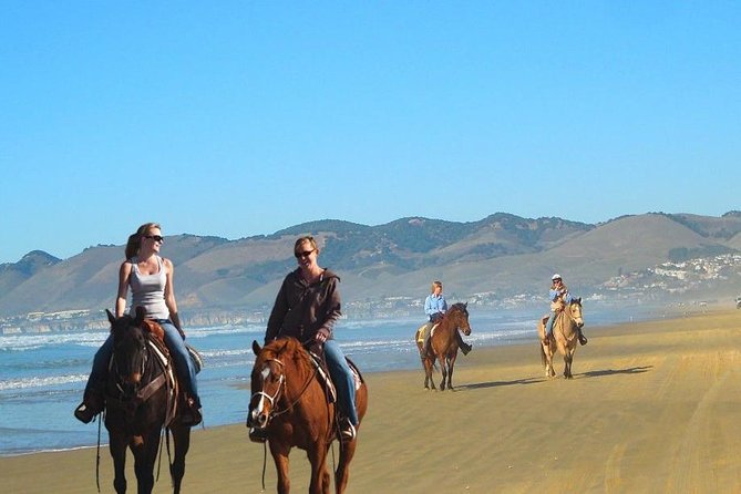Private Redwoods Tour & Beach Horseback Riding Experience From San Francisco - Itinerary Overview