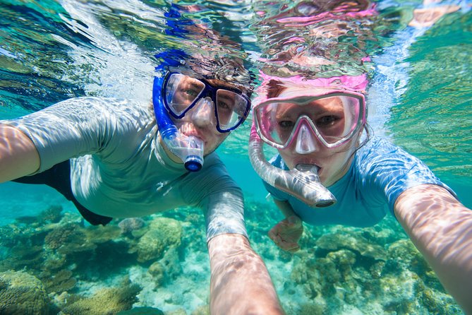 Private Rincon Snorkeling Adventure - Additional Information