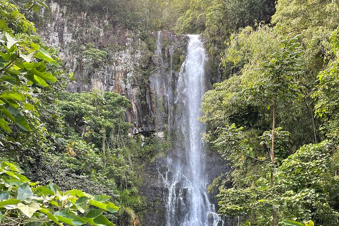 Private Road to Hana Tour With Lunch - Knowledgeable and Friendly Guide