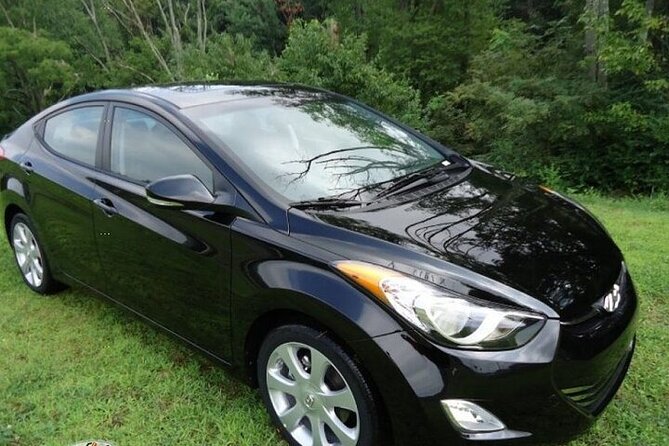 Private Roundtrip Sedan Airport Transfer to Palm Cay - Pickup and Drop-off Information
