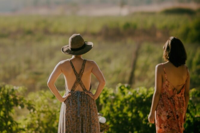 Private Santa Ynez Valley Wine Tasting Tour for up to 4 Guests - Good To Know
