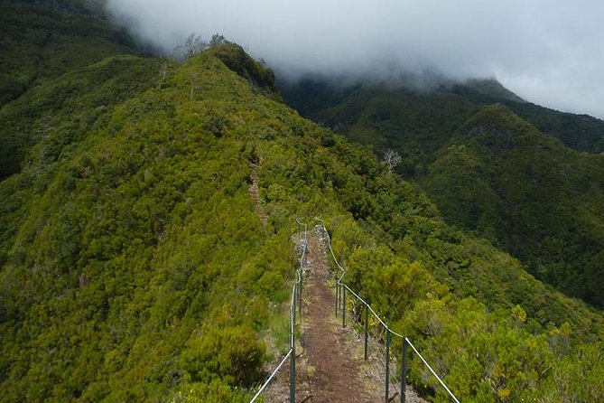 Private Service VIP Path to the Pinaculo – Folhadal Walk - What To Expect