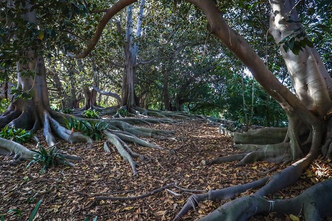 Private Shoreline Plus Coast Botanic Gardens by the Sea Day Trip - Pricing and Booking Details