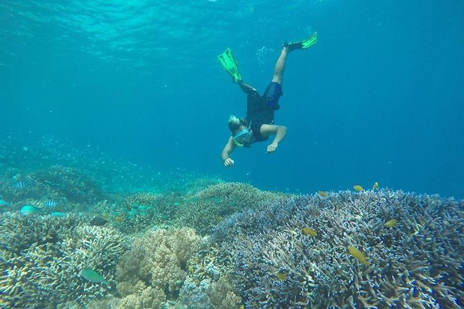 Private Snorkeling Trip (Depart Gili T),Gili Trawangan, Gili Meno, - Traveler Reviews and Experiences
