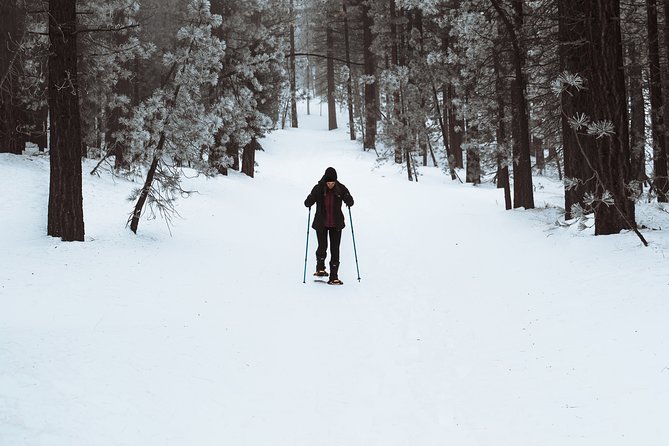 Private Snowshoeing Adventure From Badger Pass to Dewey Point - Option to Extend the Hike