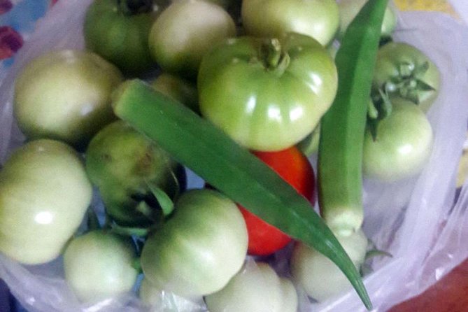 Private South Indian Cooking Class and Market Visit in Chennai - Pricing and Booking Details