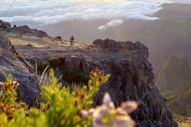 Private Sunrise Pico Do Areeiro Half Day With Easy Levada Walk - Tour Itinerary