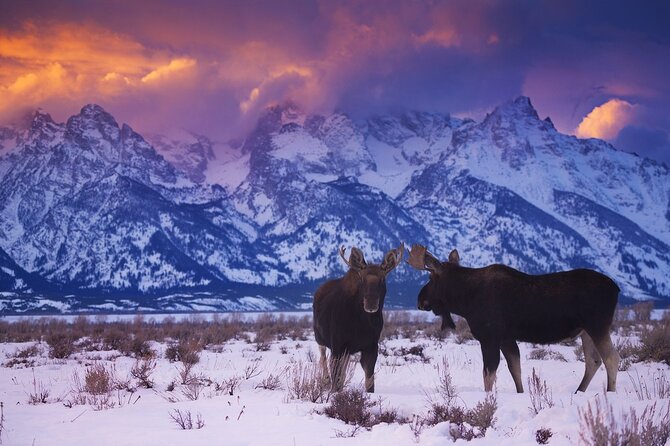 Private Sunset Winter Tour of Grand Teton National Park - Winter Gear and Equipment Provided