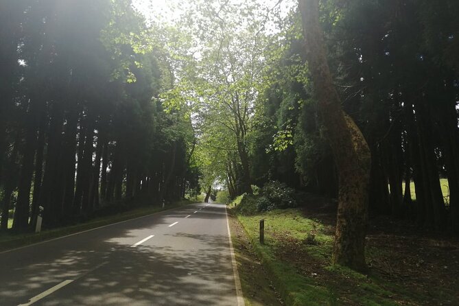 Private Terceira Island Half Day Tour - Tour Overview